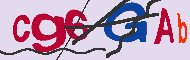Captcha認証コード