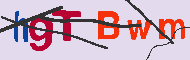Captcha認証コード